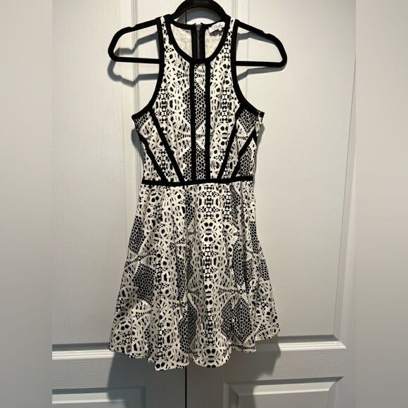 Parker Black and White Skater Dress with Cut Out at the Back US Small - Picture 3 of 5